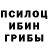 Псилоцибиновые грибы Psilocybine cubensis Alex Rueda