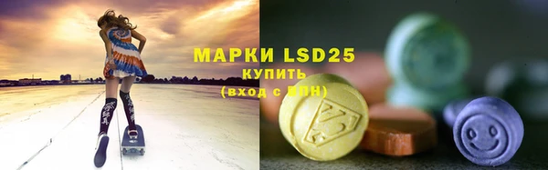 шишки Покачи