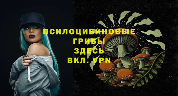 mdpv Покровск