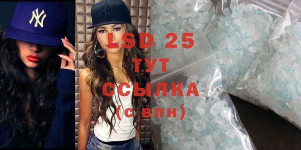 шишки Покачи